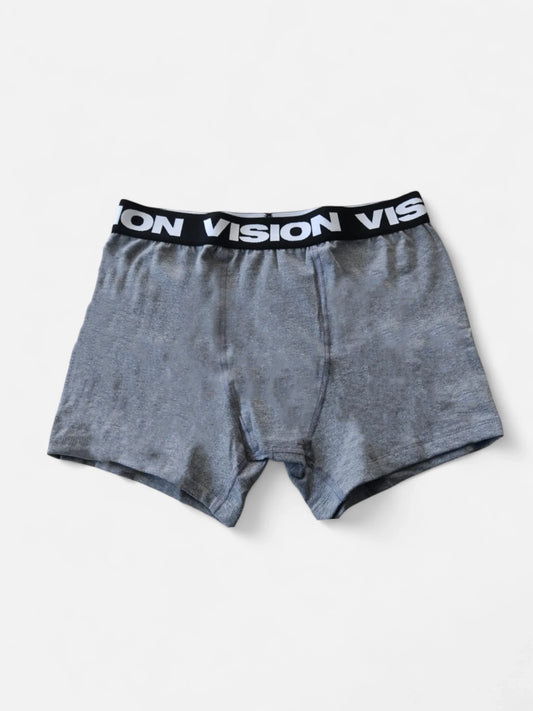 Boxer Vision Classic Gris