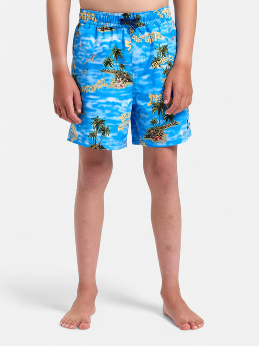 Malla Quiksilver Niño Tb Volley Everyday Straight 14 Celeste