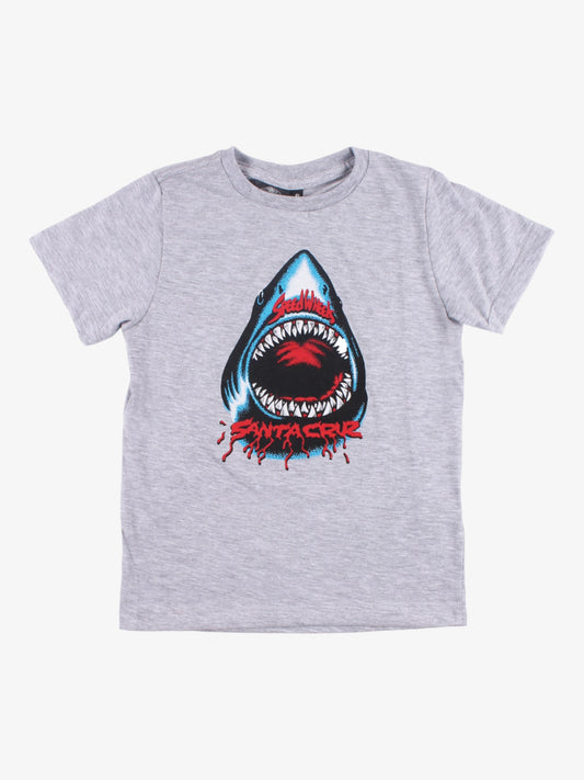 Remera Santa Cruz Mge Niño Gris - Indy