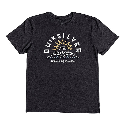 Remera Quiksilver Touch Of Paradise Niño Negro - Indy