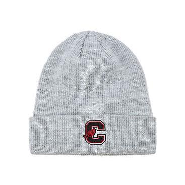Gorro Champion With Cuff Gris - Indy