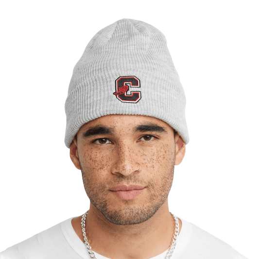 Gorro Champion With Cuff Gris - Indy