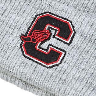 Gorro Champion With Cuff Gris - Indy