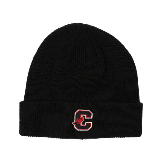 Gorro Champion With Cuff Negro - Indy