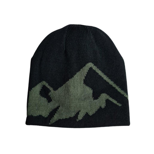 Gorro Quiksilver Snow MyW Negro Verde - Indy