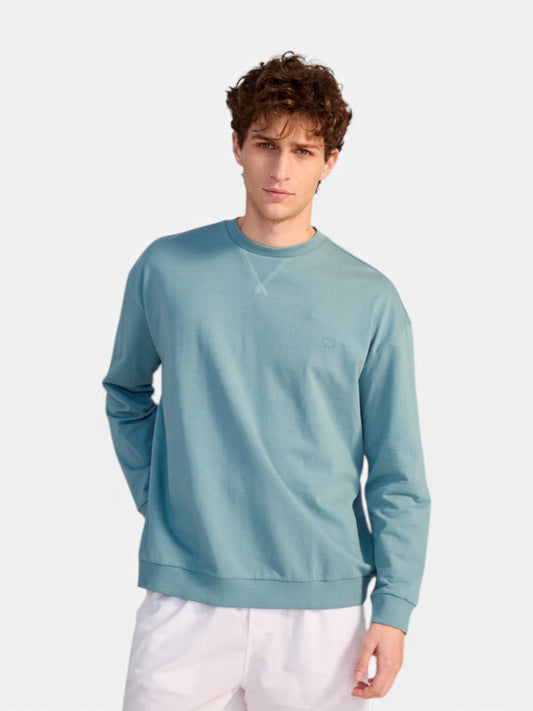 Buzo Elepants Over Tusk Verde Agua