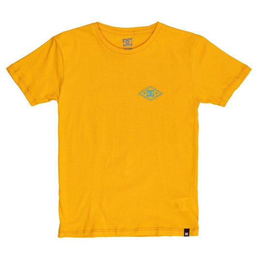 Remera Dc Vanish Boys Amarillo - Indy