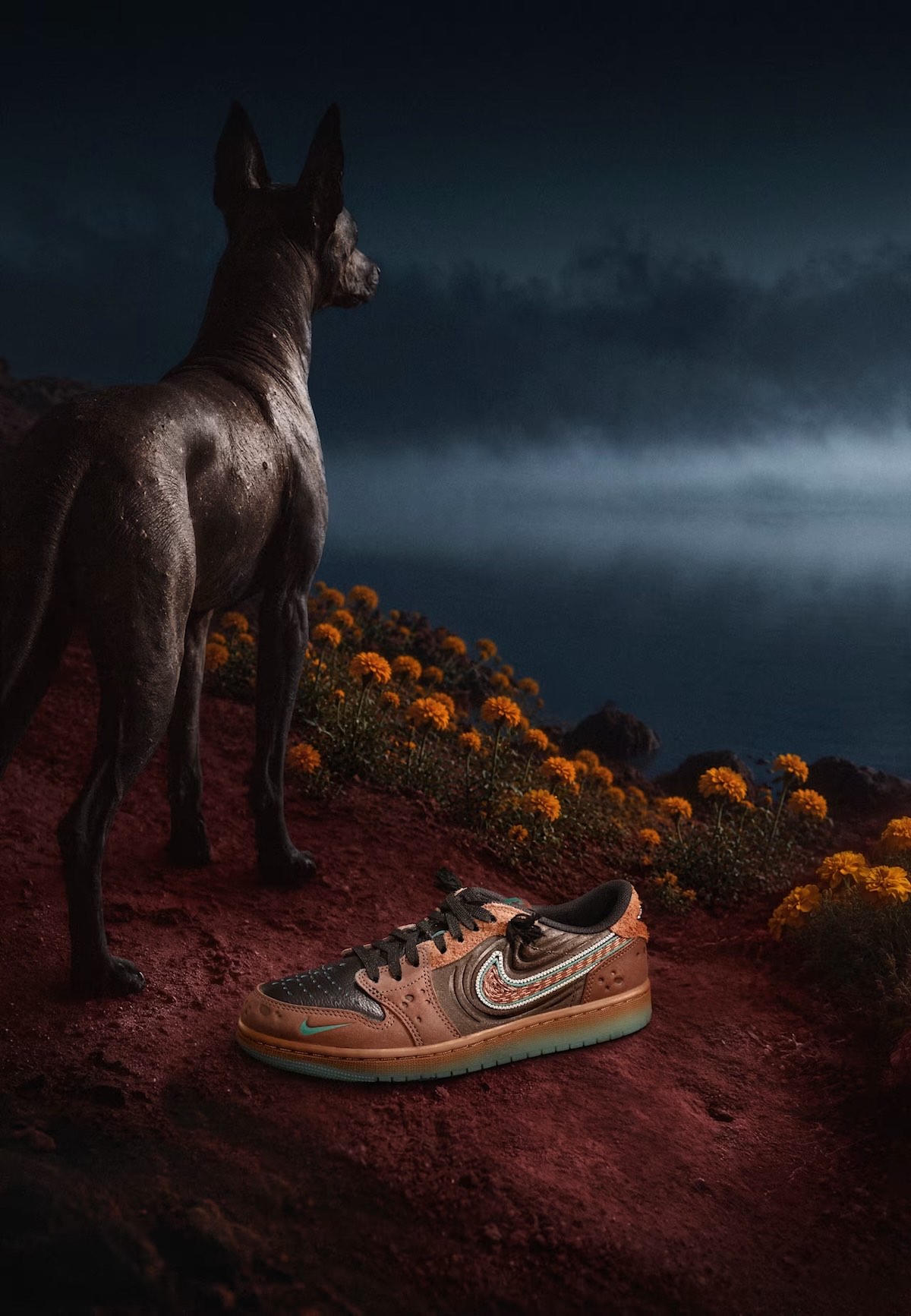 Foto de campaña de noche con un Xoloitzcuintle negro de espaldas mirando hacia un lago con niebla, parado en un cerro de tierra roja con flores de cempasúchil naranjas y, delante, una zapatilla del Air Jordan 1 Low OG Somos Historias