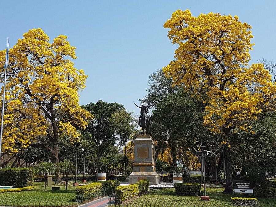La plaza San Martín de la ciudad de Formosa, con lapachos amarillos en flor alrededor del monumento central; foto de archivo de 2021 (foto: Tencho, Wikimedia Commons, licencia CC BY-SA 4.0)